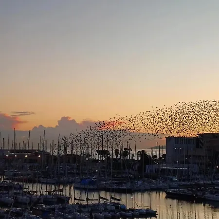 Lejlighed Cala Costa Palermo